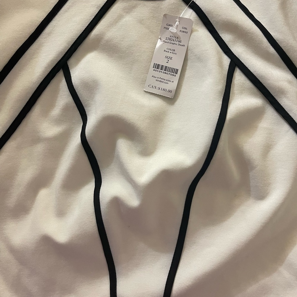 WHBM New Contrast Piping Dress Size 2 NWT - Picture 6 of 6